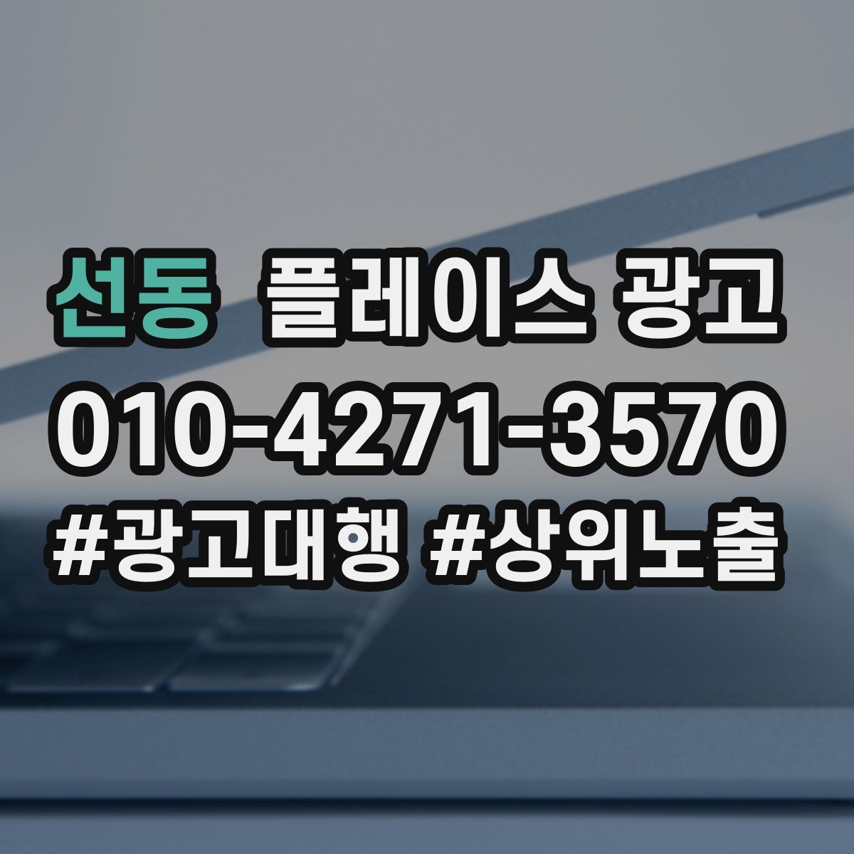선동 플레이스 광고