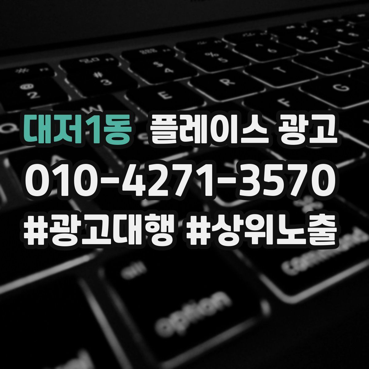 대저1동 플레이스 광고