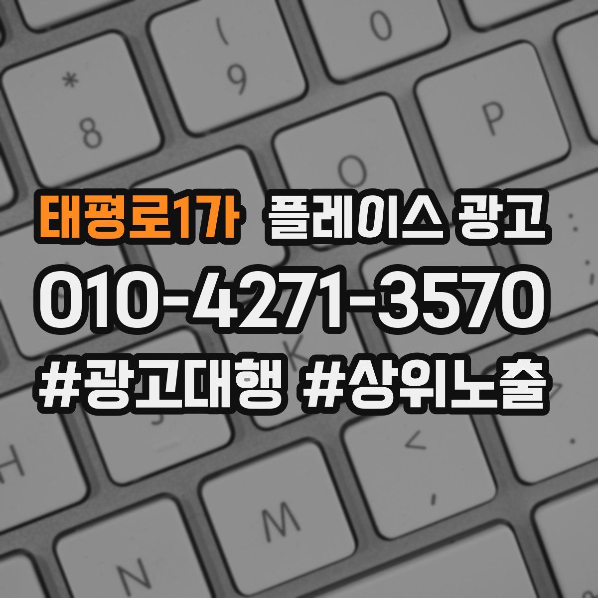 태평로1가 플레이스 광고