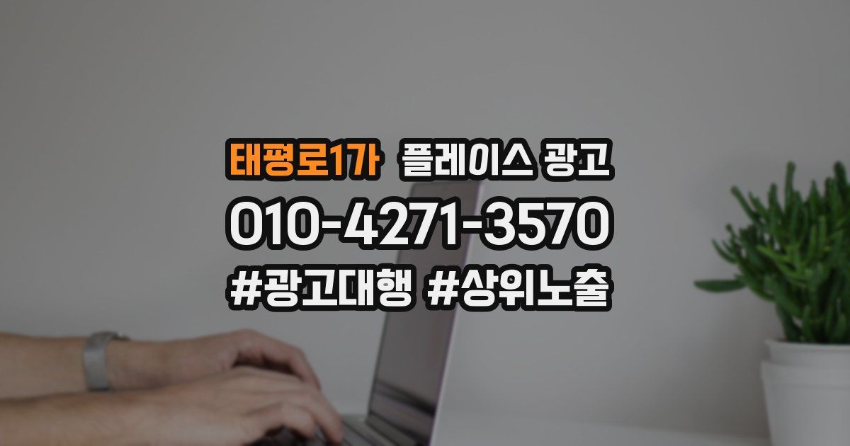 태평로1가 플레이스 광고