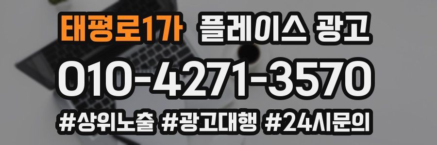 태평로1가 플레이스 광고