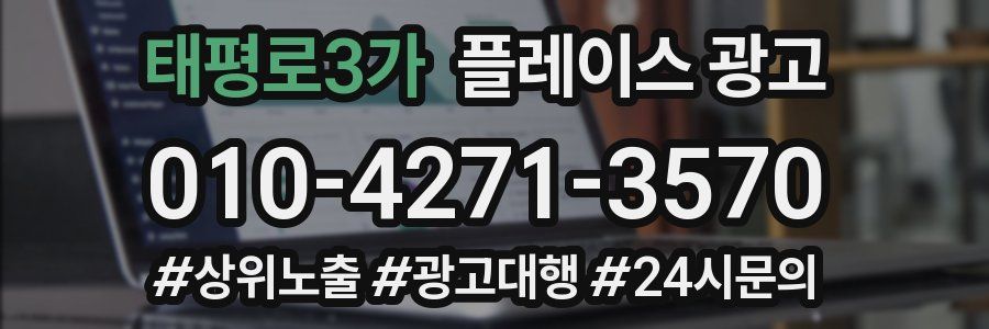 태평로3가 플레이스 광고