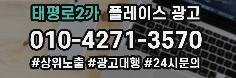 태평로2가 플레이스 광고