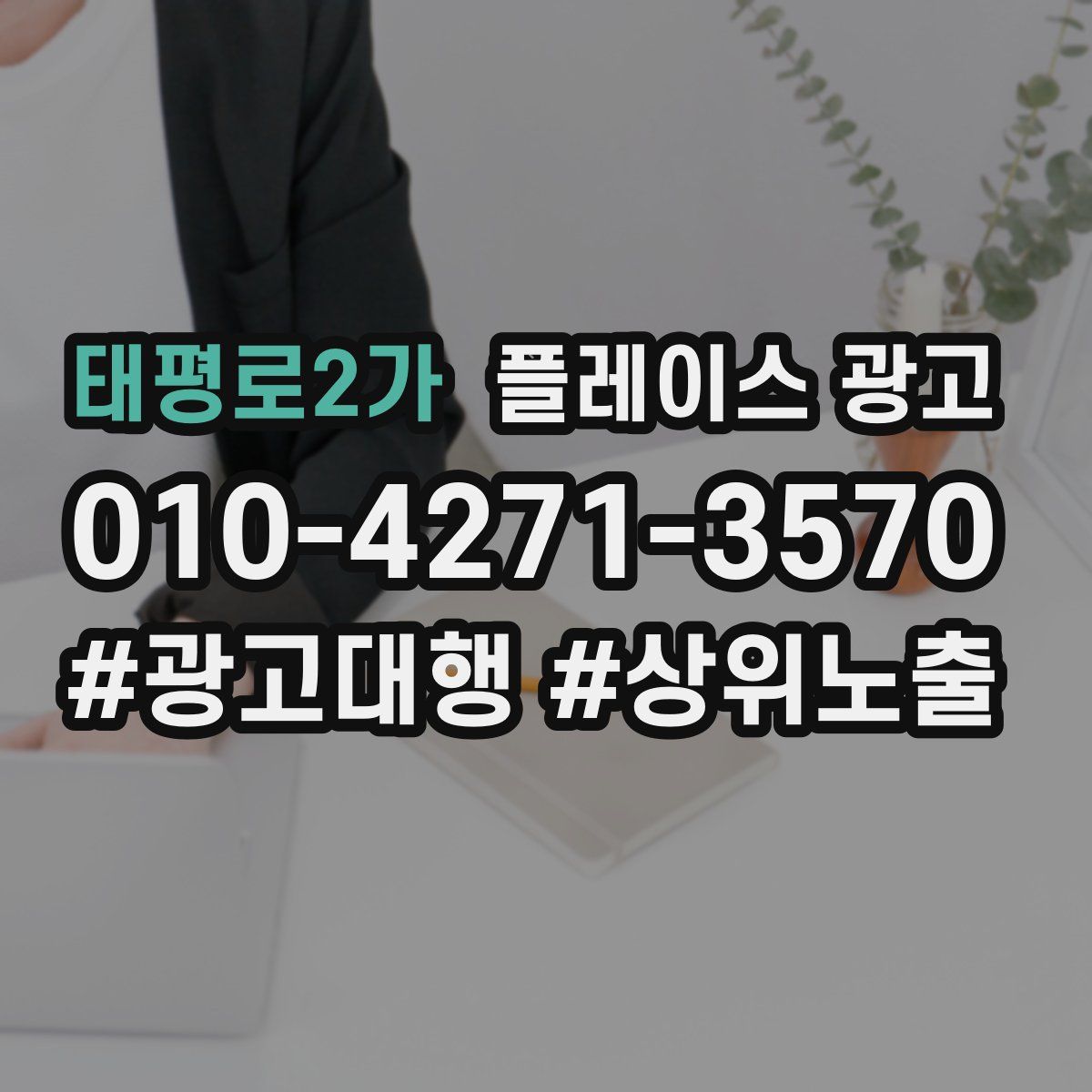 태평로2가 플레이스 광고