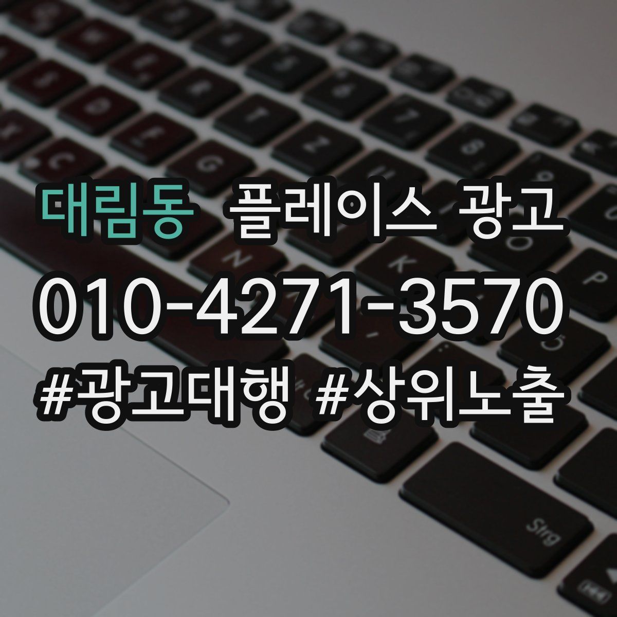 대림동 플레이스 광고