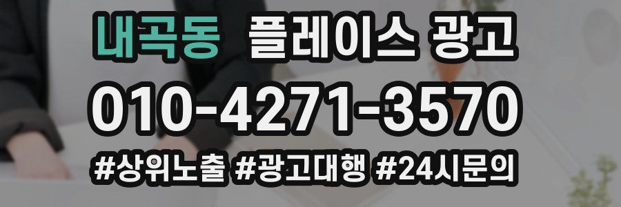 내곡동 플레이스 광고