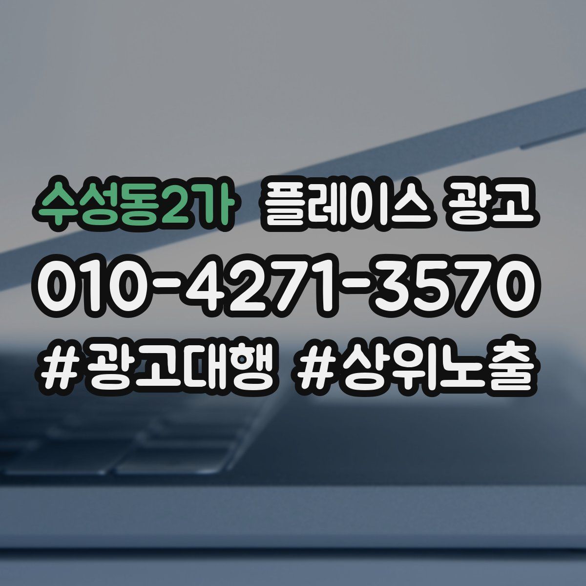 수성동2가 플레이스 광고