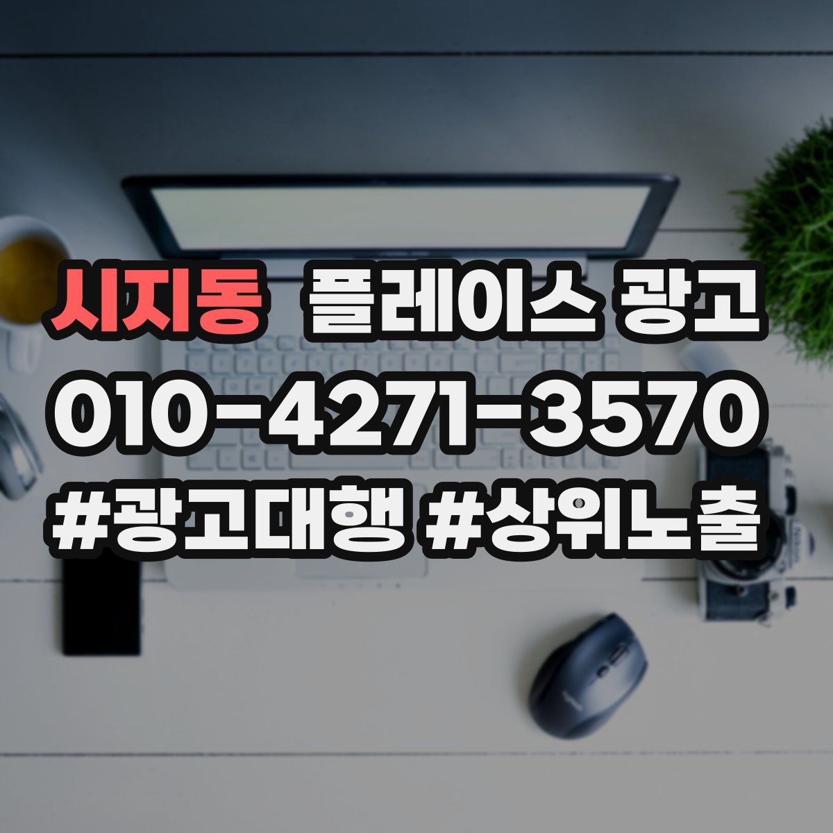 시지동 플레이스 광고