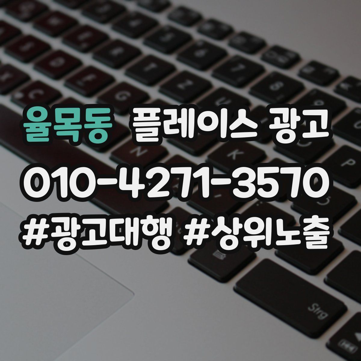 율목동 플레이스 광고