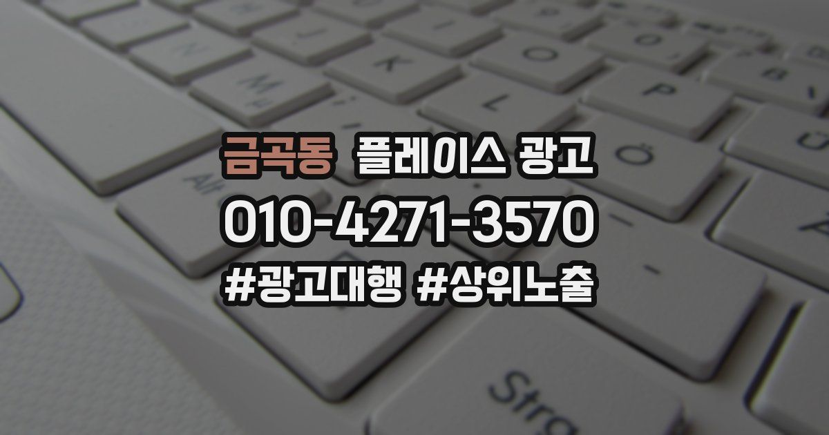 금곡동 플레이스 광고