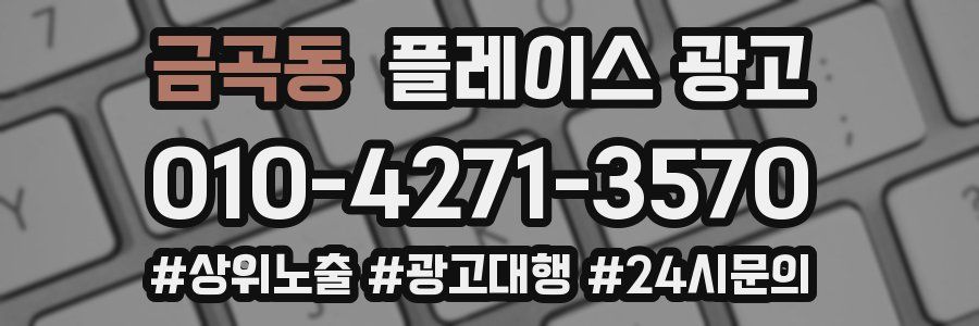 금곡동 플레이스 광고