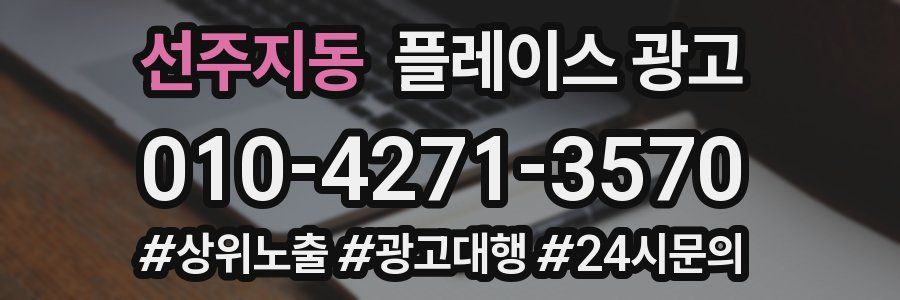 선주지동 플레이스 광고