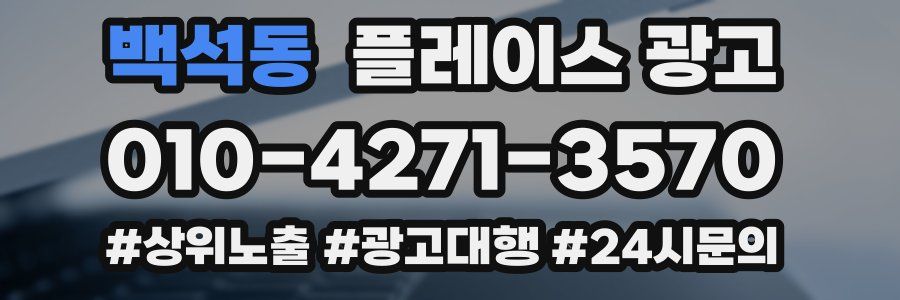 백석동 플레이스 광고