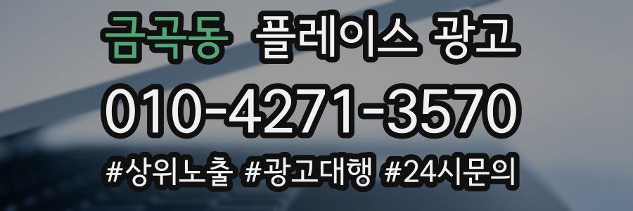 금곡동 플레이스 광고