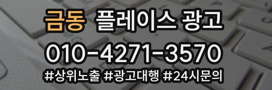 금동 플레이스 광고