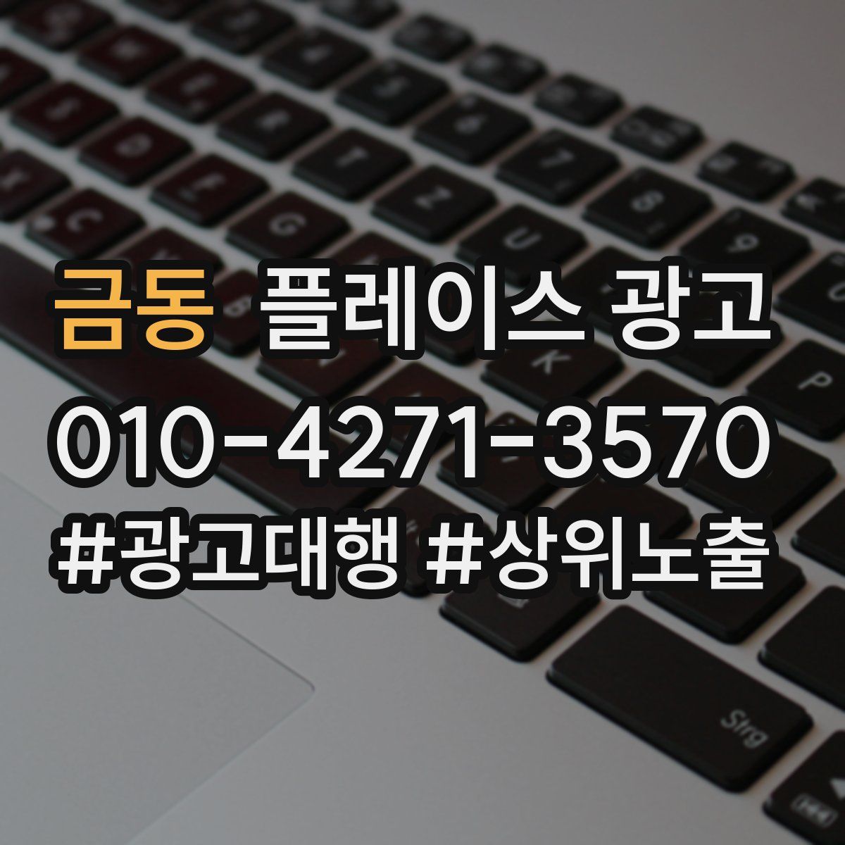 금동 플레이스 광고