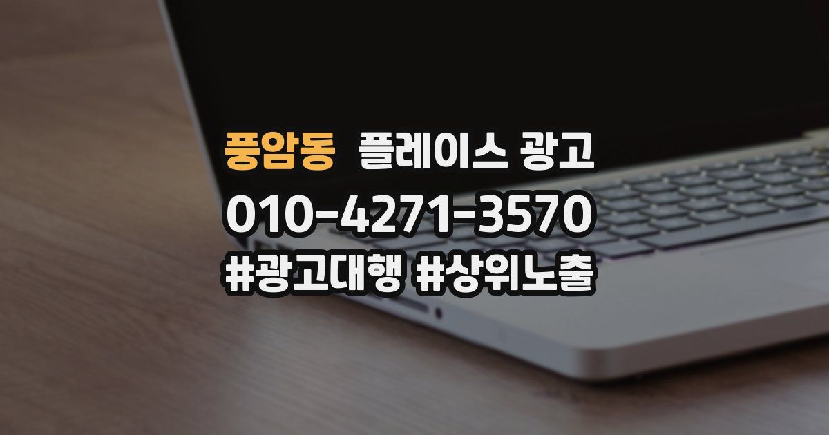 풍암동 플레이스 광고