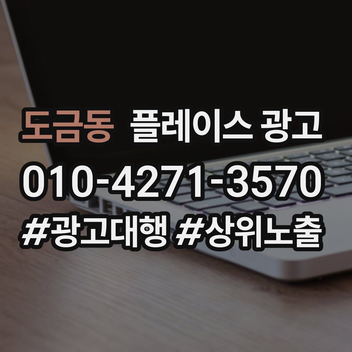 도금동 플레이스 광고