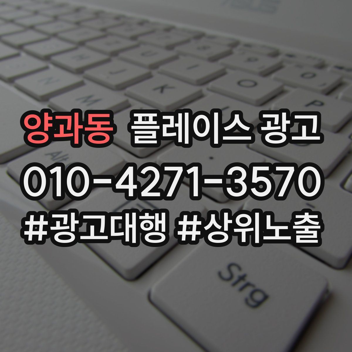 양과동 플레이스 광고