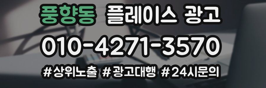 풍향동 플레이스 광고