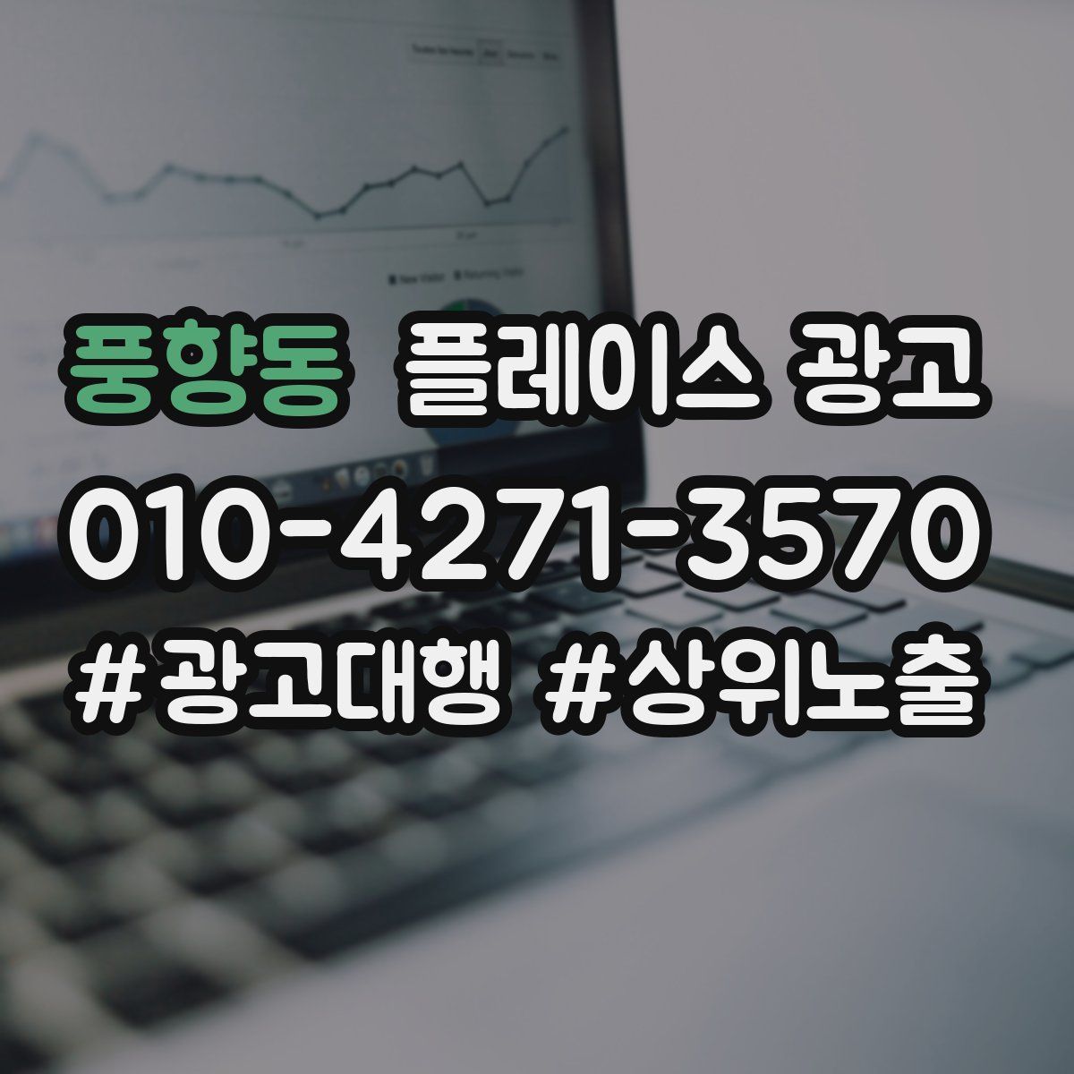 풍향동 플레이스 광고