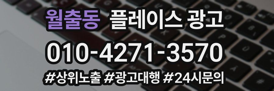 월출동 플레이스 광고