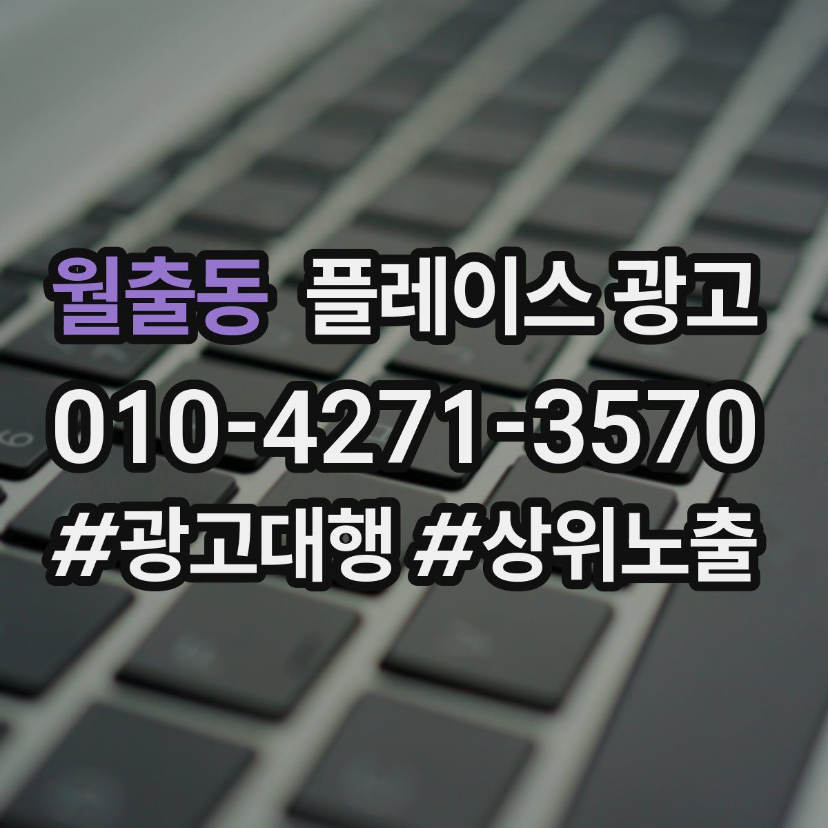 월출동 플레이스 광고