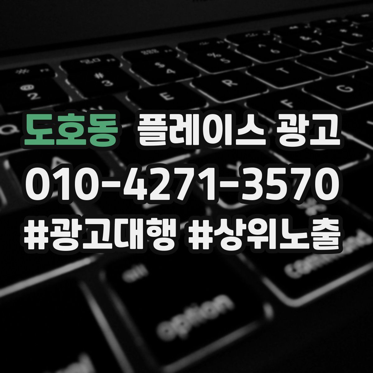 도호동 플레이스 광고