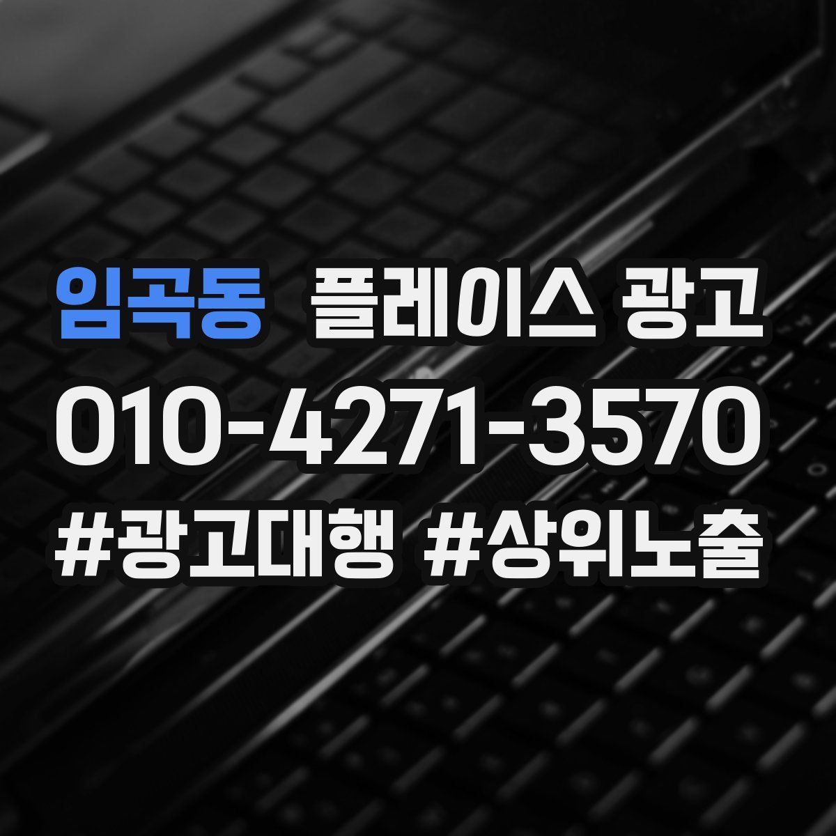임곡동 플레이스 광고