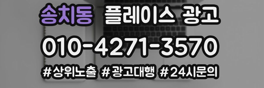 송치동 플레이스 광고