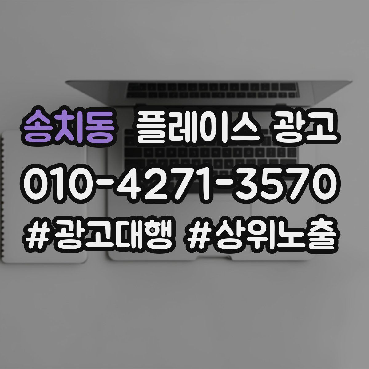 송치동 플레이스 광고