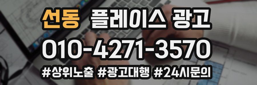 선동 플레이스 광고