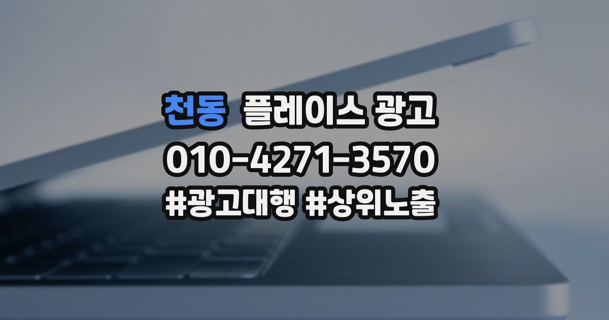 천동 플레이스 광고