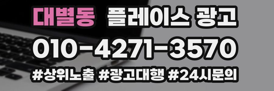 대별동 플레이스 광고