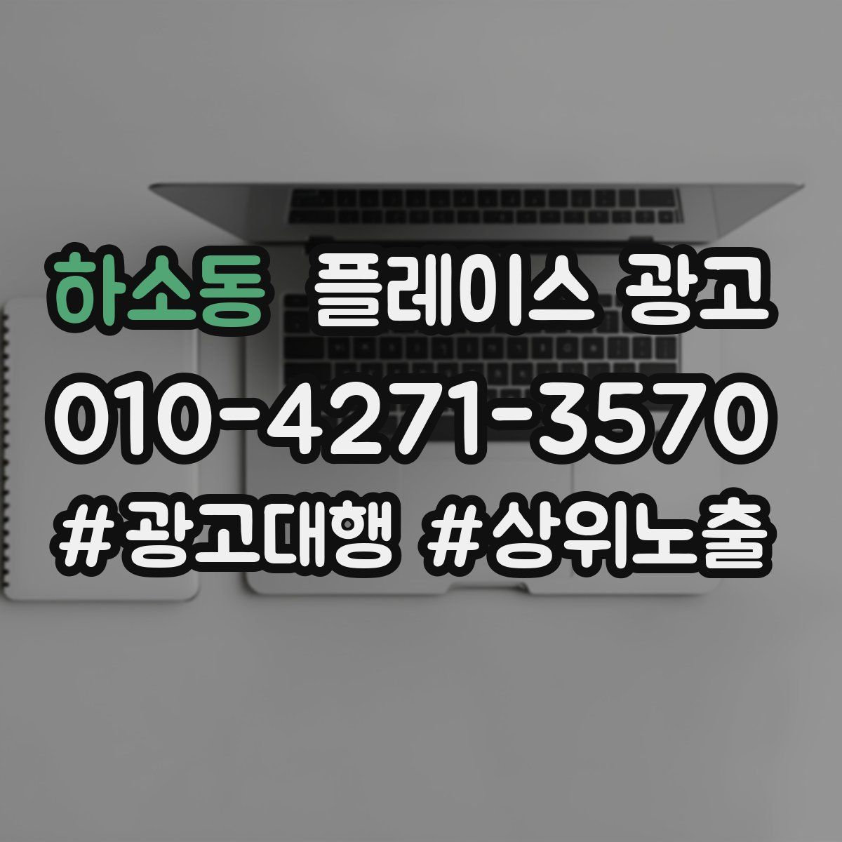 하소동 플레이스 광고