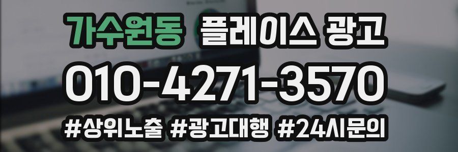 가수원동 플레이스 광고
