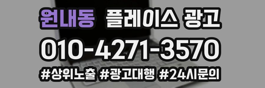 원내동 플레이스 광고