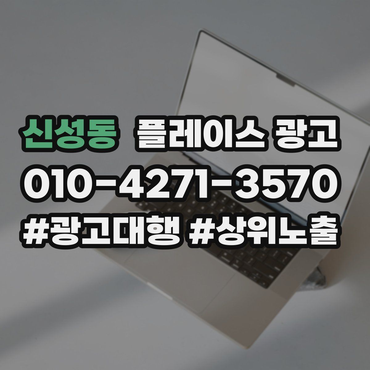 신성동 플레이스 광고