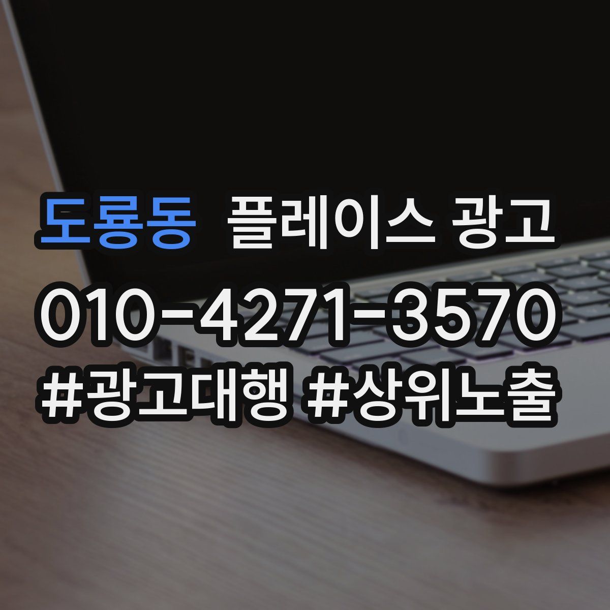 도룡동 플레이스 광고