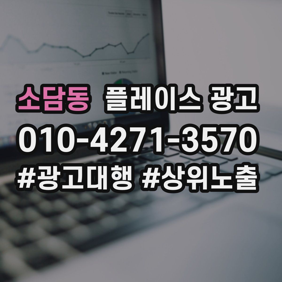 소담동 플레이스 광고