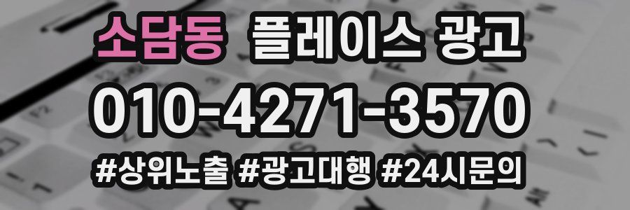 소담동 플레이스 광고