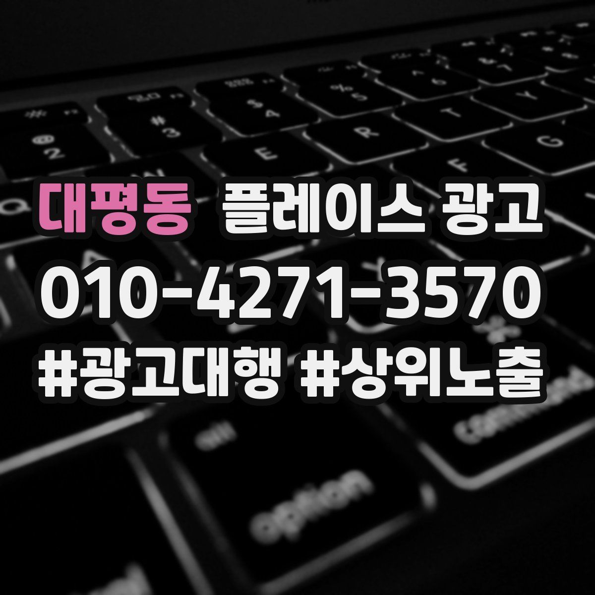 대평동 플레이스 광고