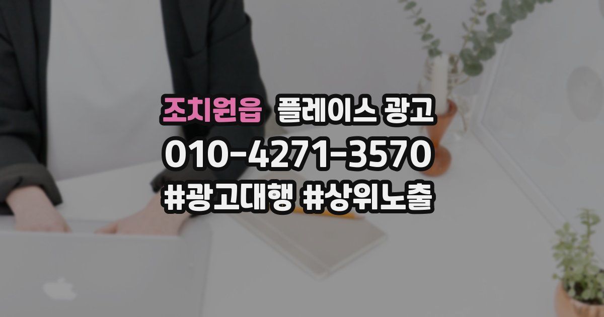 조치원읍 플레이스 광고