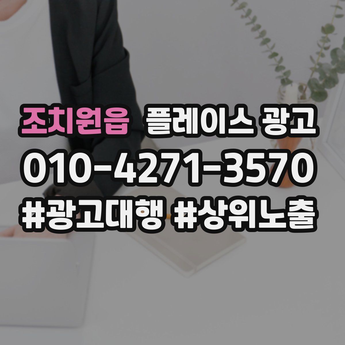 조치원읍 플레이스 광고