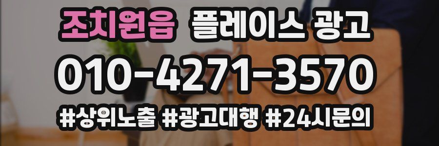 조치원읍 플레이스 광고