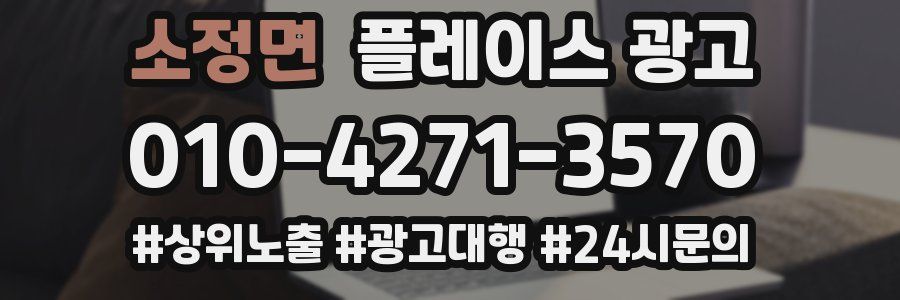 소정면 플레이스 광고