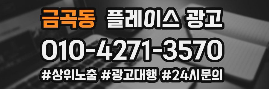 금곡동 플레이스 광고