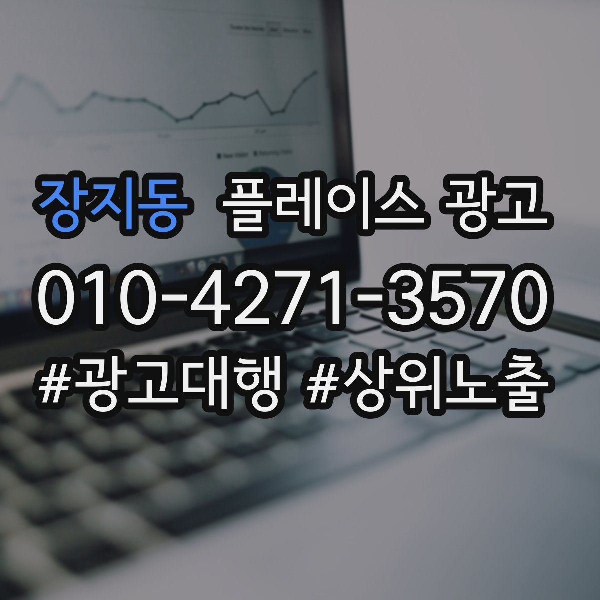 장지동 플레이스 광고