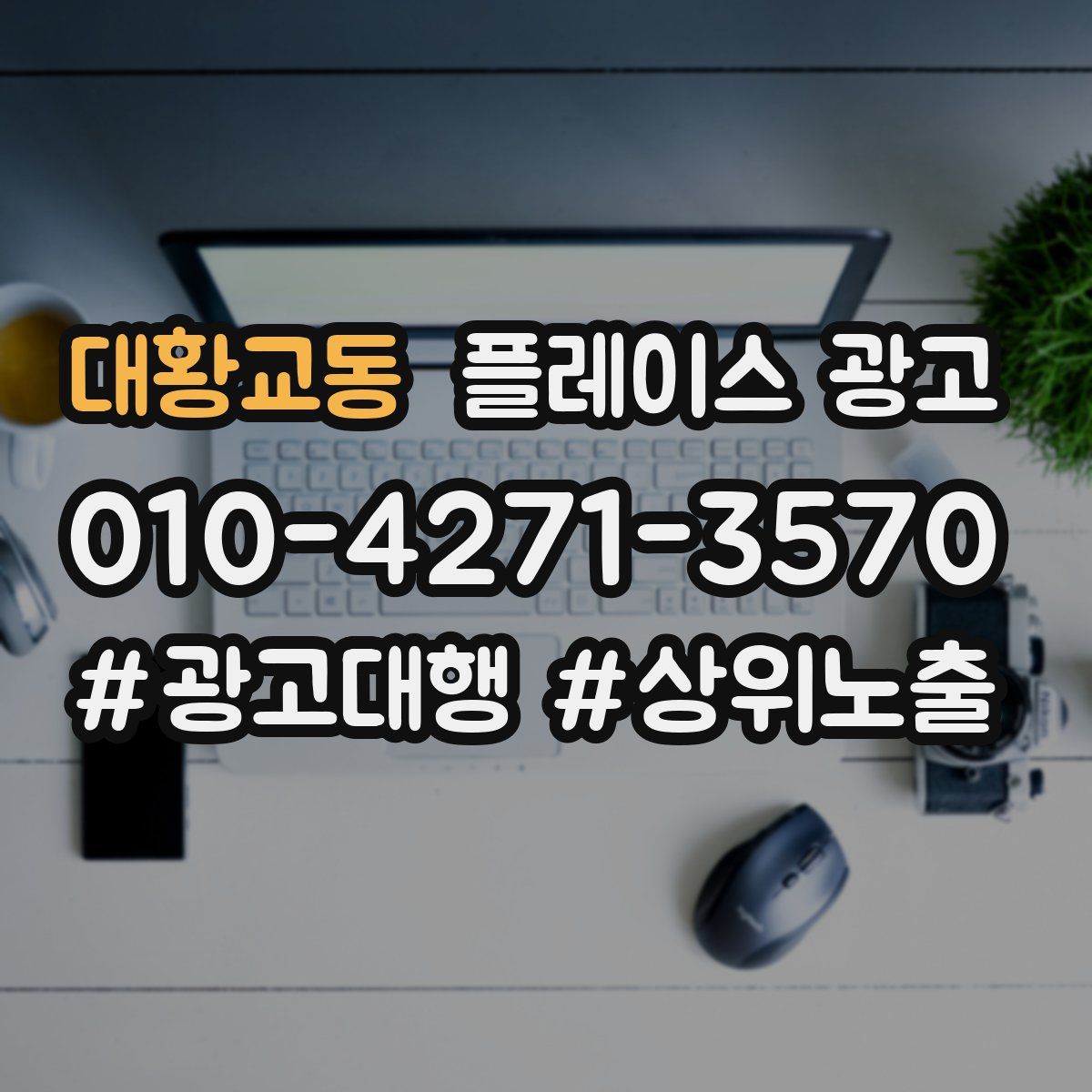 대황교동 플레이스 광고