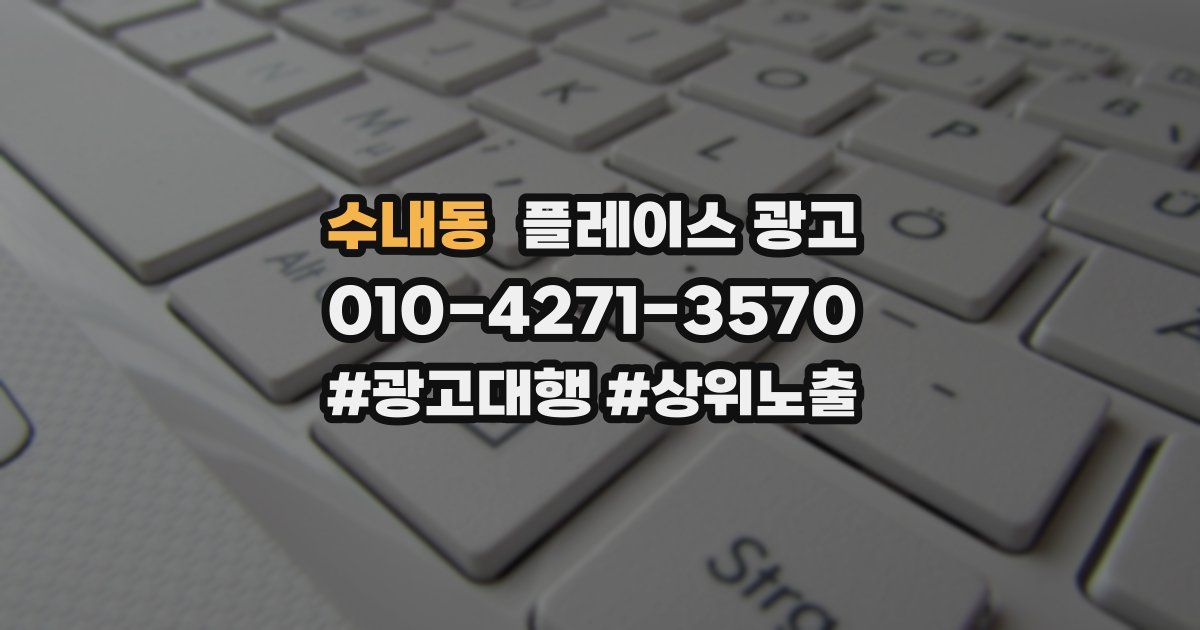 수내동 플레이스 광고